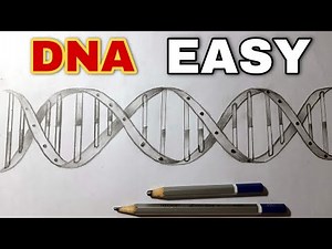 DNA Helix Drawing Step by Step Easy