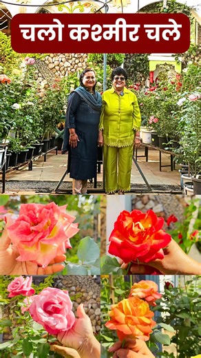 A Walk Through Mughal Garden 🌿 | 100 Rose Varieties Under One Roof Today, we’re taking you on a beautiful visit to the Mughal Garden, a paradise for plant lovers 🌿✨ This garden is home to over 100 varieties of roses, along with many other stunning plants that make the space truly magical. From healthy rose plants to premium growing materials like sand, cocopeat, marble stones, and well-prepared soil beds — everything here is thoughtfully arranged for perfect plant growth. What makes this garde