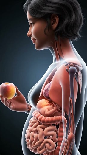 After Eating Apple 🍎 | Inside Human Body (3D)health animation apple#Apple#InsideHumanBody