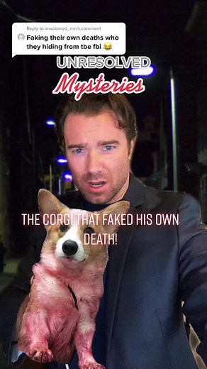 Unresolved Mysteries: The Corgi That Faked His Own Death!