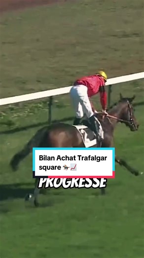 Si vous êtes intéressé par les chevaux de course et avez les moyens d'assumer cet investissement, contactez-moi par message privé avant les ventes de yearlings d'août. Si votre profil correspond, nous pourrons discuter par téléphone ou en direct pour plus d'informations. Pour une première expérience haut de gamme dans le propriétariat de chevaux de course, une écurie de groupe est disponible à 2 500 € l'entrée pour les moins de 30 ans, et à 25 000 € l'entrée pour les plus de 30 ans. Pour en savo