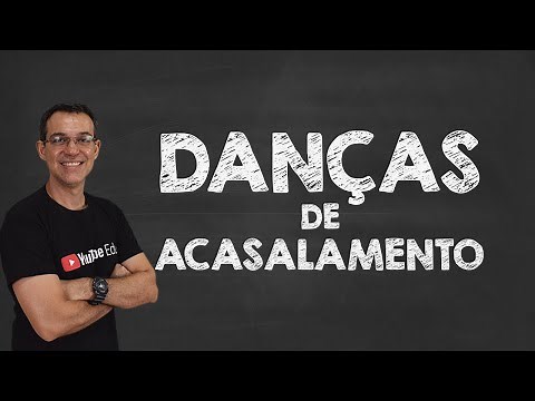 As mais INCRÍVEIS DANÇAS DE ACASALAMENTO