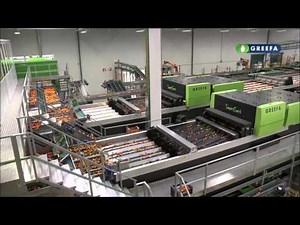 GREEFA - Frutinter - SmartSort 8 + 10 lane grading machines for tangerines and oranges in Spain