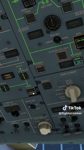 Flight Streamer on TikTok