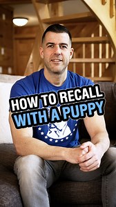 173K views · 5.3K reactions | When attempting to teach a puppy...