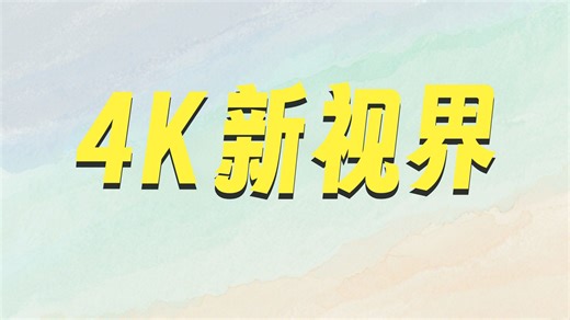 FFALCON雷鸟电视 85鹤6 Ultra 25款（PLUS版） 85英寸 QD-MiniLED 高阶VA 家电国家补贴电视85S595C Ultra