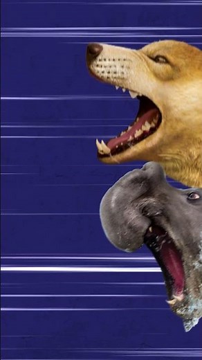 Who Would Win?: Monstrous Mammals