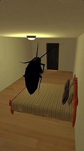 171K views · 758 reactions | Cockroach Dance In Night | 쏴비TV | Facebook