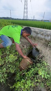 Primitive Fishing Technique | Fishing & Village Tradition