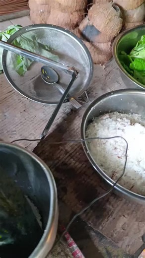 Here’s a simple Solomon Islands–style local recipe using local cabbage, coconut milk, pumpkin, chillies, and heated stones — similar to traditional motu🇸🇧📍 #localfood #fyppppppppppppppppppppppp #honiarasolomonislands🇸🇧 #tiktokviral #islandlife