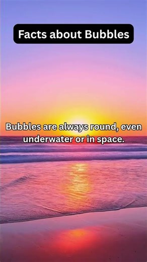 Facts about Bubbles