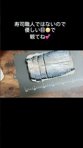 鯖の押し寿司／棒鮨／バッテラ ／酢漬け