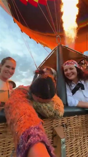 HOT AIR BALLON IN KENYA?! #travel #summer #kenya