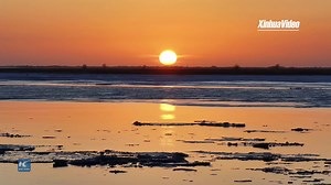 The warm spring awakens the Ordos Plateau! The ice on the Yellow River's Balagong section in China's Inner Mongolia is melting. Feel the power of nature as ice sheets break apart and rush with the current | Xinhua Culture&Travel