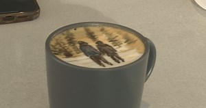 World-famous latte artist helps draw business to Fredericton cafes