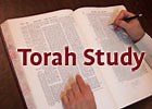 Torah Study | Aish