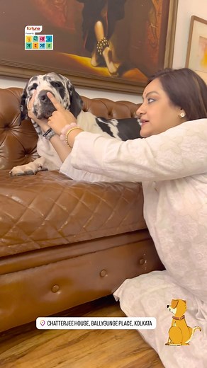 Sudipa Chatterjee on Instagram: "How to confirm that ur dog is health wise ok? Sharing a small trick.. Try it! #sudipasongsaar #sudipachatterjee #lifewithsudipa #lifestylehacks #petsofinstagram #dogs #reels #shortvideo #greatdanesofinstagram #largebreedlovers #bigdogsofinstagram #giantdogs #ilovemydogs #homesweethome"