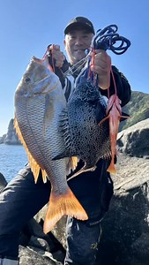 全関西磯釣連盟 四国大会にて 高知県宿毛沖ノ島の初福渡船屋さんにお邪魔した。 沖ノ島へ来るのは7〜8年ぶり 昔は良く高知へ毎週のように 通ったものです。 名称一つバエから順に高バエに 連盟副会長和佐ちゃんが降り、 順に会員さんたちが渡礁。 高知のサポート役、公文塾会長 ケンちゃん、さおりちゃんが カガリ場、私は最後の方で風裏の本ノコへ降りました。 船着には同礁したカマちゃんに 入って頂き、 カマちゃんに朝一に挨拶変わりの 一発が来て、竿が起きず 飛ばされてました（笑） 流石に正直な物で私は潮裏なので 全く何もアタリません💧 仕方なく遠投に切り替え沖の潮目でフエフキダイを釣るも 狙いの魚では無く、 納竿前迄、餌のウニを足元に打ち込み 何とか回遊のイシガキを 拾う事が出来ました。 結果、他魚で２位 石鯛の部３位 石鯛の部は辞退して他魚の部 副賞の新米おこめをゲット！😄 久しぶり連盟会員の 釣り仲間との楽しい時間を 共有させて頂き感謝しております #フエフキダイ #タマン #タマミ #石鯛 #イシガキ #クエ #沖ノ島 #高知県 #宿毛 #初福渡船 #DAIWA #daiwa_umibo