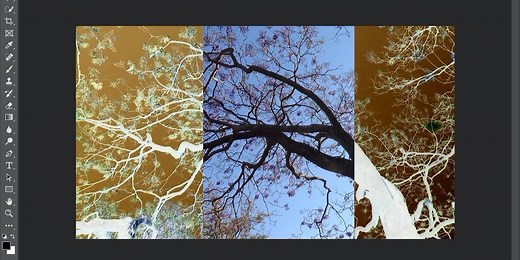 How to invert the colors of any image in Photoshop in 3 simple steps