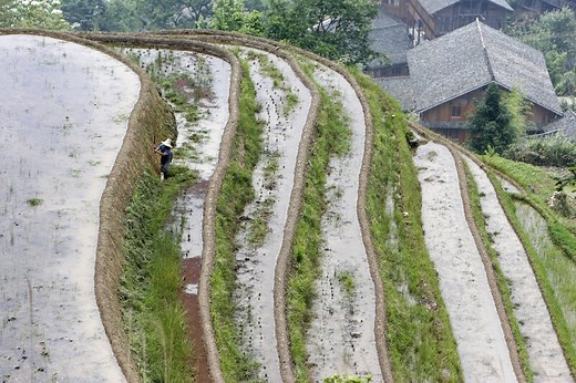 China is reshaping food systems for the climate change era