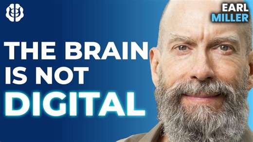 Is The Brain an Analog Computer? Consciousness as Dynamic Brainwave Organization | Earl Miller | Earl K. Miller, PhD