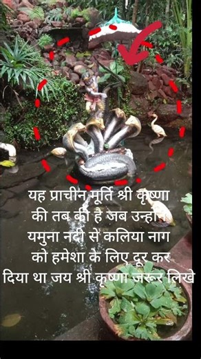 श्री कृष्णा का यह रहस्य 😱 आप जानते हो #shrikrishna #krishna #krishnlila #shorts