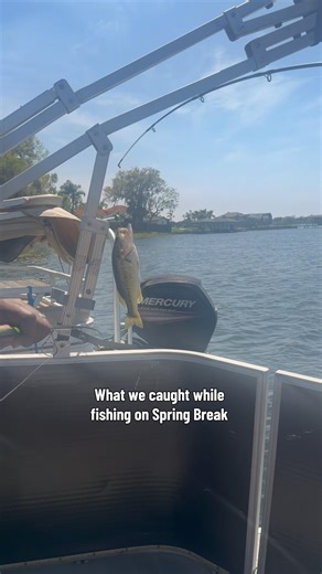 What we caught while fishing during spring break