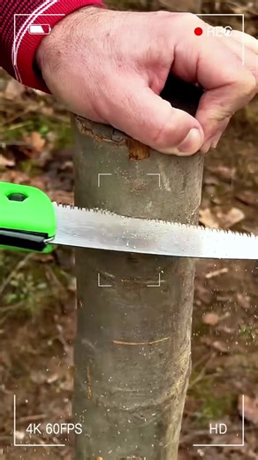 Ultimate Camping Survival Tips for Outdoor Enthusiasts