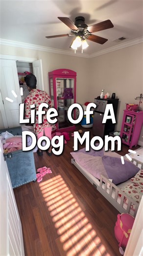 Creating a Comfortable Space for Your Dogs at Home