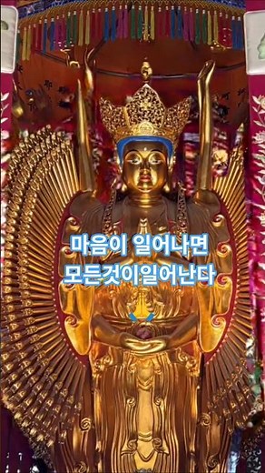 관세음보살 🥰 #사찰여행 #법구경 #남경 부자묘 #관세음보살 #옴 마니반메훔