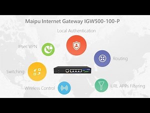 Maipu Internet Gateway IGW500 100 P
