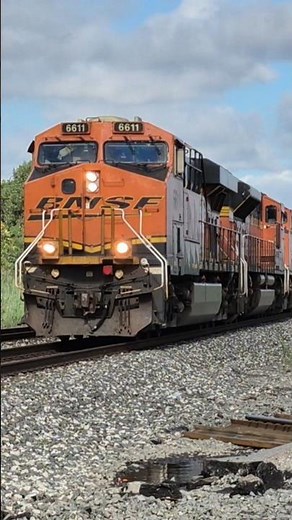 CSX Intermodal with BNSF power!