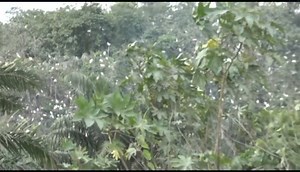 Alao-Akala Expressway: The Story Behind - Information Commissioner | Aloore Radio