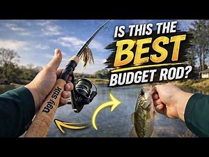 Ugly Stik Lite Pro - Best Budget Rod? | Quick Rod Review