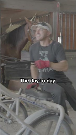 Day to Day Life in a Barn | Real Horse Care