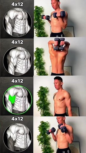 Build POWERFUL Arms With Dumbbells 💪🔥 (4x12 Home Workout)