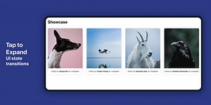 React Animation: Tap to Expand