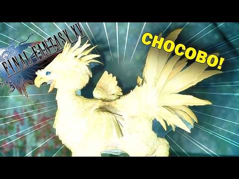 Picture Day for Chocobo | FFXV