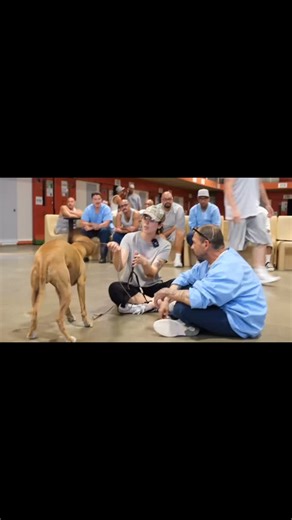 Pawsitive Change Program on Instagram: "We’re sure you’ve seen the gentle leaders on many of our dogs in our posts. When used correctly these are an amazing tool to discourage pulling and help teach our dogs how to walk appropriately when on leash. Just like any tool each dog must acclimate to its use and we prefer using positive reinforcement to encourage acceptance. Here we demonstrate how to introduce a gentle leader to a dog who’s never worn one. #marleysmutts #muttmilitia #dogrescue #foster