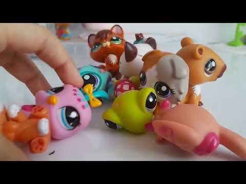 Kanalın ilk tanıntımı? | LPS CHOCOLATE TV