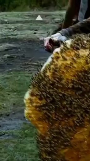 movies 🦾🏆 on Instagram: "We Can Be Heroes (2020) | Neck is like a noodles 1. We Can Be Heroes (2020) is a vibrant, family-friendly superhero film directed by Robert Rodriguez, serving as a standalone sequel to his 2005 hit The Adventures of Sharkboy and Lavagirl in 3-D 🎬🦸♀️! 2. Set in a world where superheroes (called “Heroics”) protect the planet, the story kicks off with a crisis: all the adult Heroics are kidnapped by evil alien invaders, leaving Earth defenseless 👽🌍😱! 3. The only hope