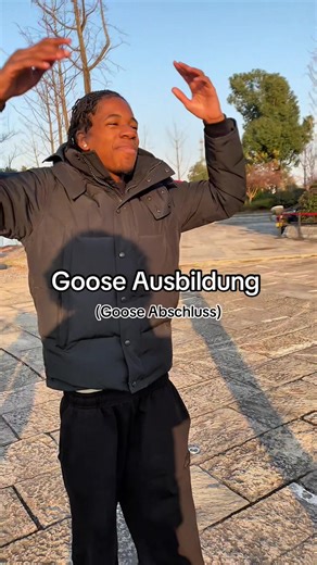 Goose Ausbildung in China: Understanding the Process