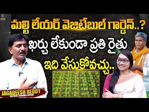 Multi layer Vegetable garden design | Jagadeesh Reddy | Natural Farming |‪@SignatureStudiostv‬
