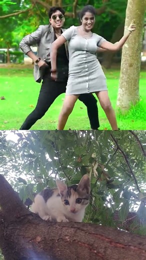 Saree Vibes | Folk Dance | Priya UBD Choreography #ubd #shorts #priyaubd