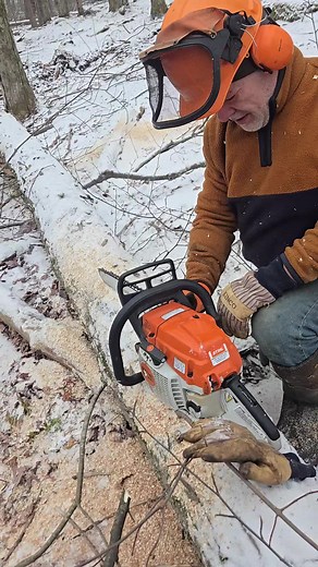 #loggingislife #logging #loggingdogs #fyp