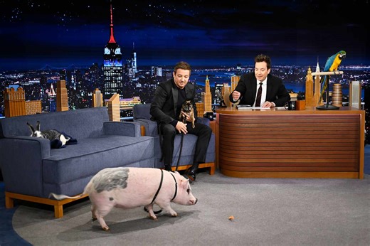 Watch Jeremy Renner show off all his emotional support animals, including a pig and a rabbit