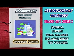 Accountancy Project for Class 11 | Transactions to Balance Sheet CBSE Sample