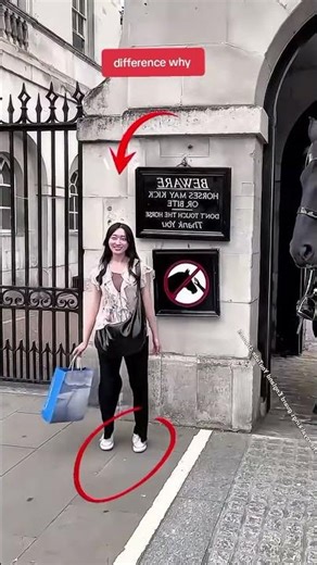 Don’t mess with the king’s guards #history #britishsoldier #horse