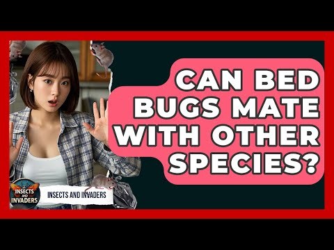 Can Bed Bugs Mate With Other Species? - Insects and Invaders