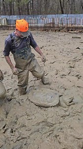 Rescuing Massive Alligator Snapping Turtles! #turtle #alligatorsnappingturtle #snappingturtle snapp | Ed The Pond Professor